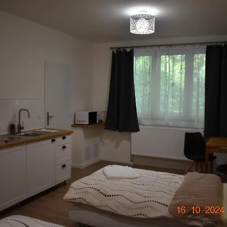 Flynnhouse Πανσιόν Aš