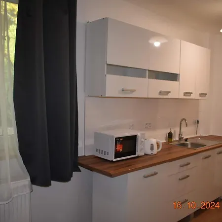 Flynnhouse Pensjonat Aš