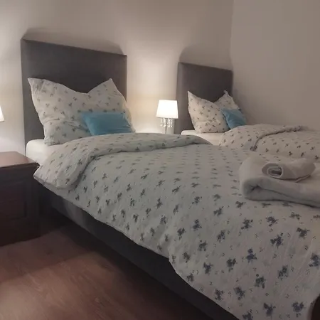 Flynnhouse 3* Aš